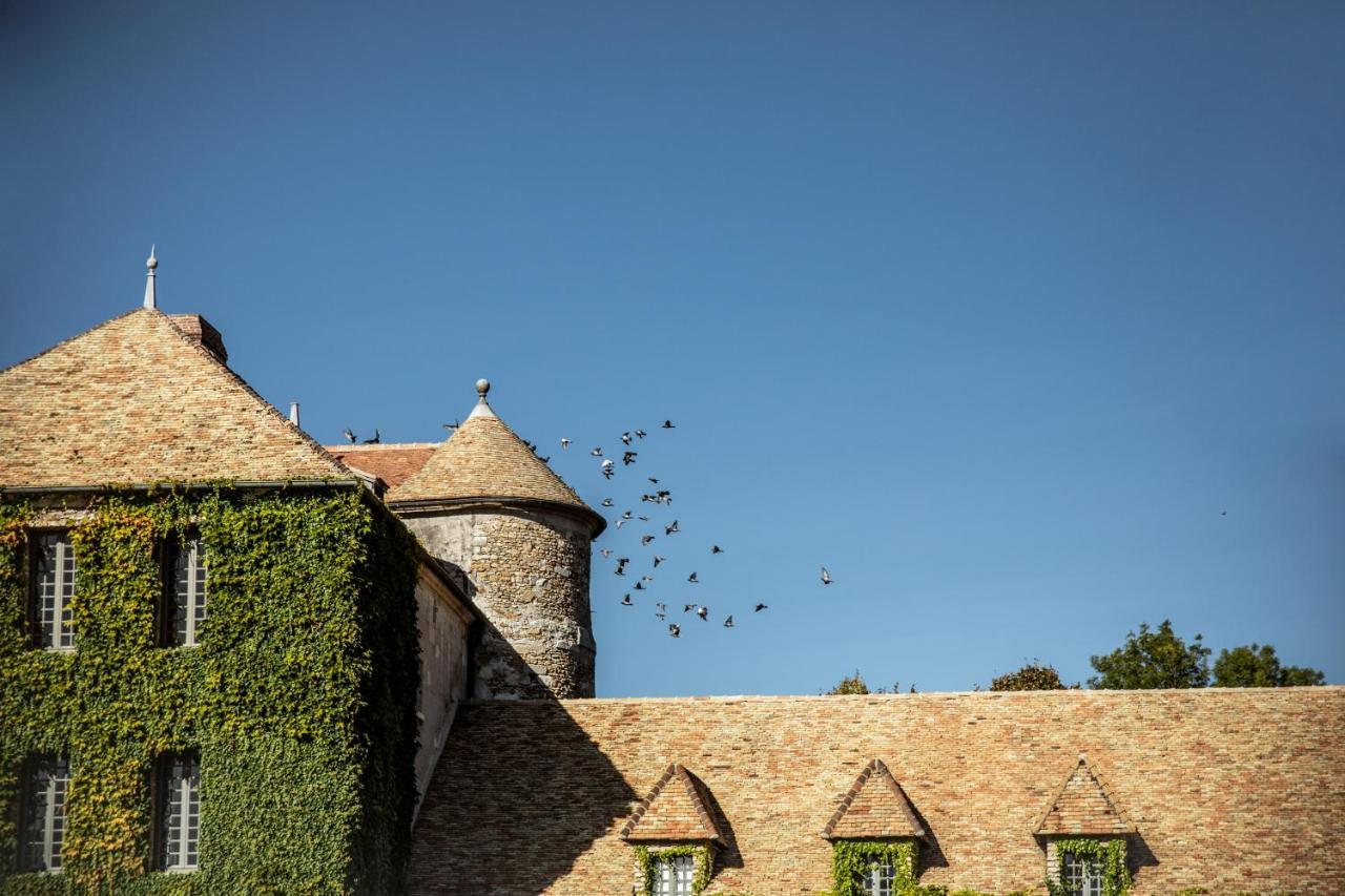 Château De Villiers-Le-Mahieu Exterior foto